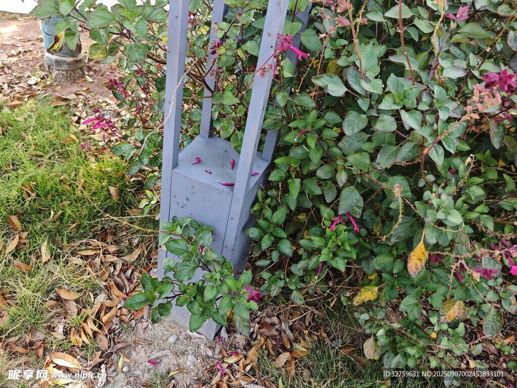 花園中的金屬園藝工具