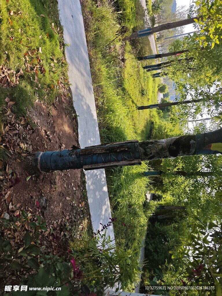 林間步道 