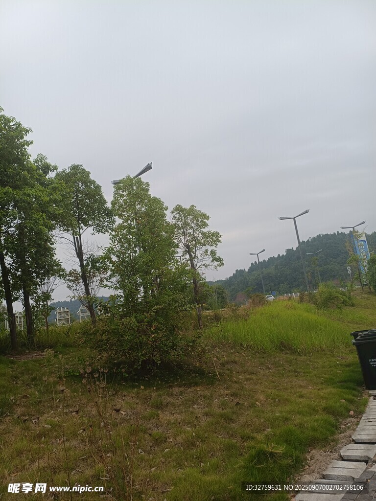 戶外草地樹林風(fēng)景圖