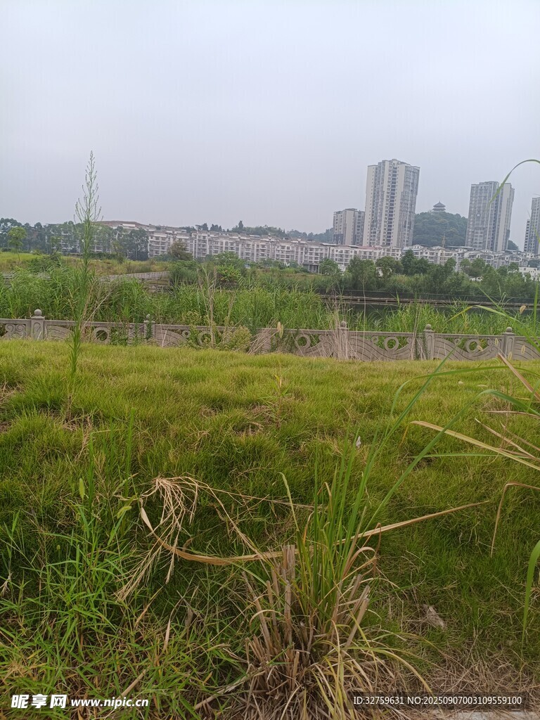 城郊草地與遠(yuǎn)處高樓景觀
