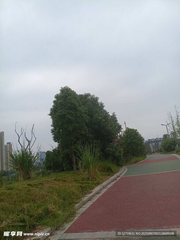 郊外紅道旁的綠樹風(fēng)景