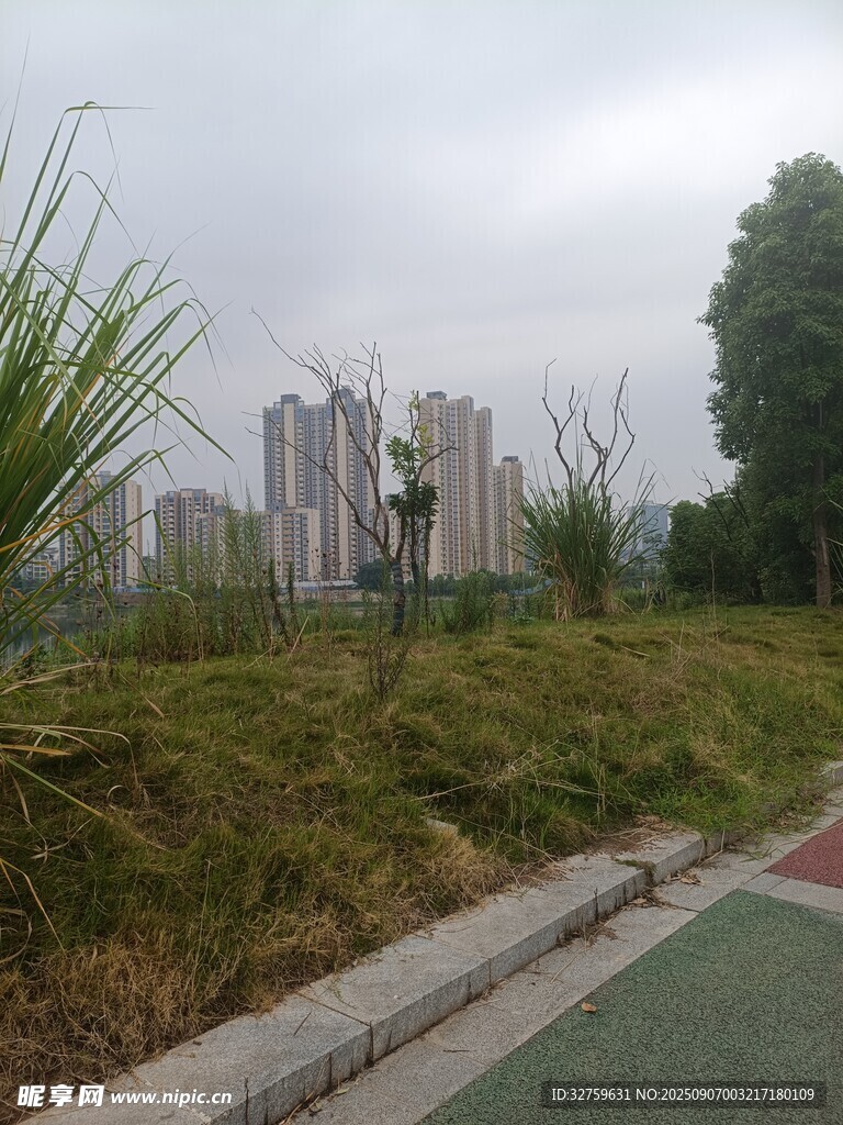 城市旁的綠地與道路景觀