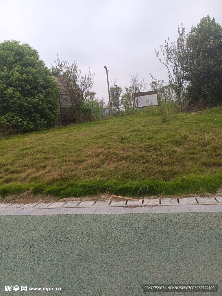 路邊綠意盎然的草坡景觀