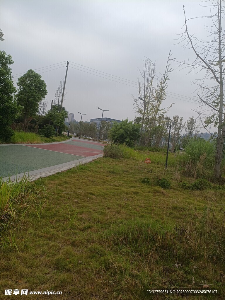 郊外草地旁的彩色道路