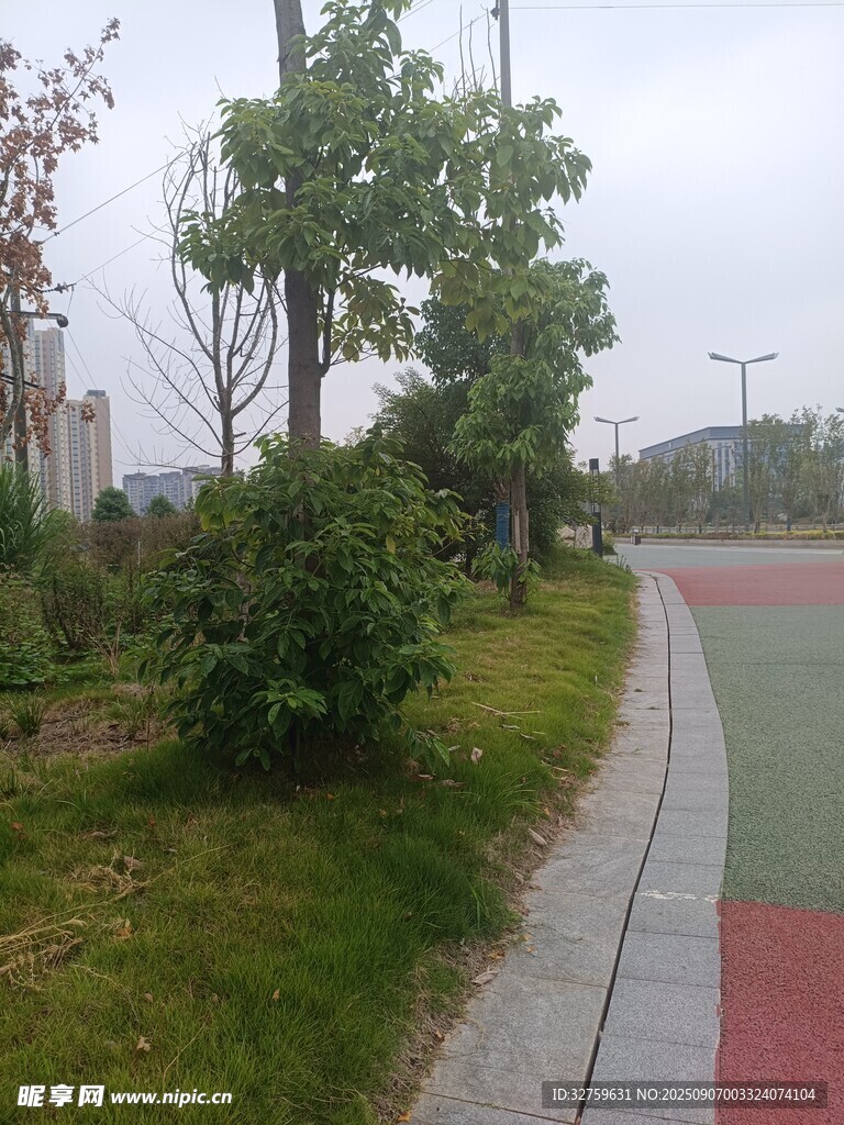 城市路邊綠植景觀