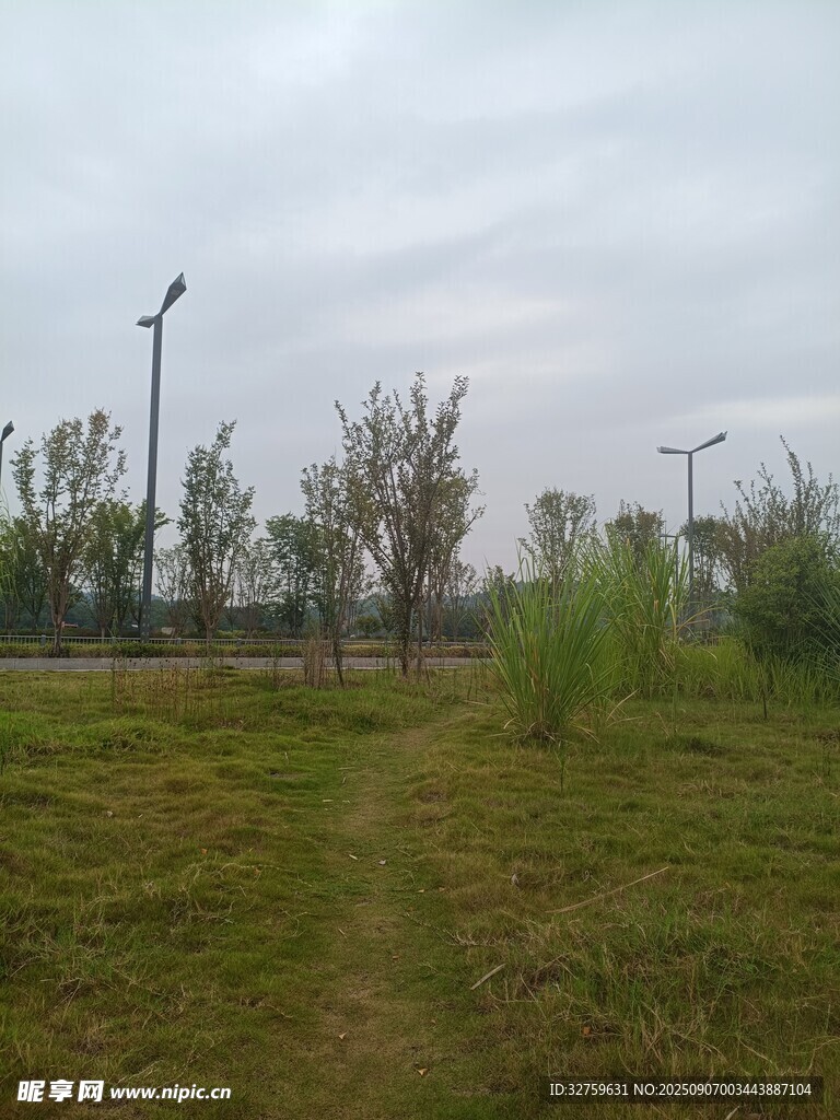 郊外草地與路燈景象