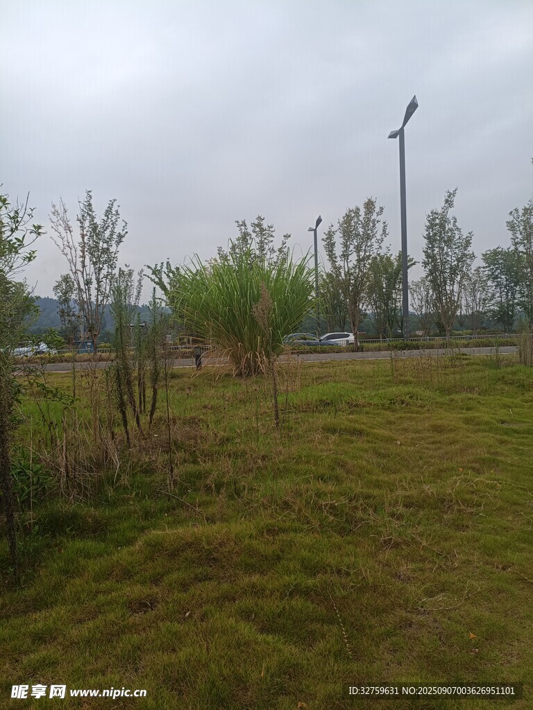 戶外草地與風力發(fā)電機景觀