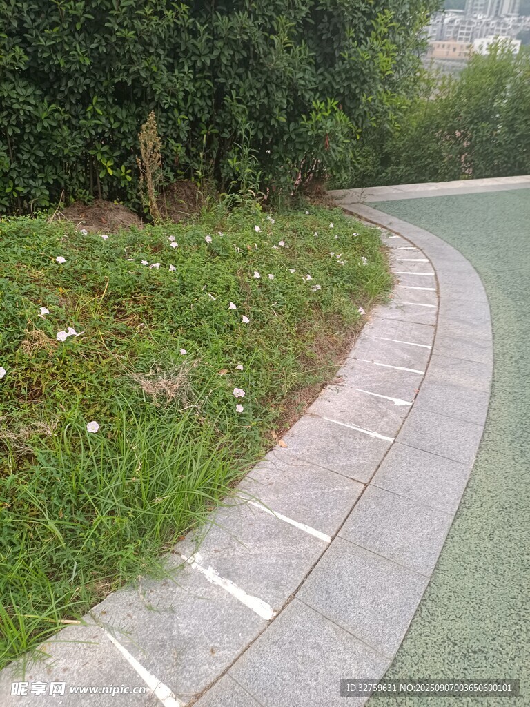 蜿蜒小徑旁的綠植景觀