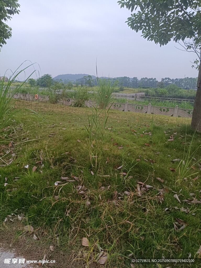 鄉(xiāng)村野外草地風景圖