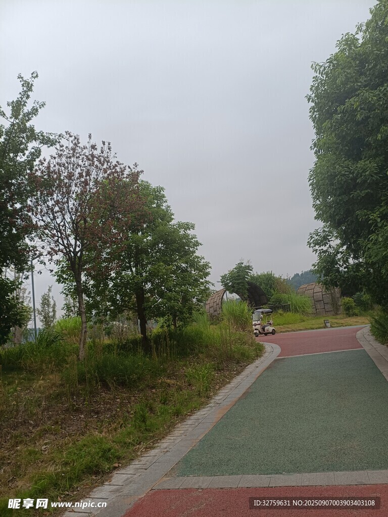 林間彩色步道風(fēng)景