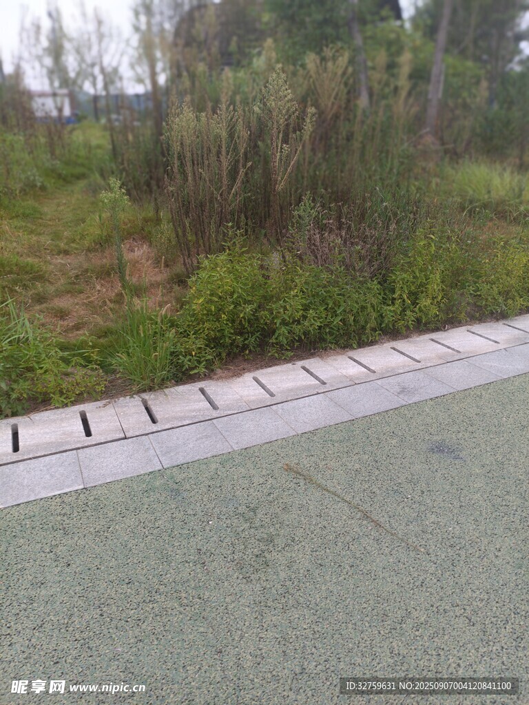 路邊綠植與排水設施景觀