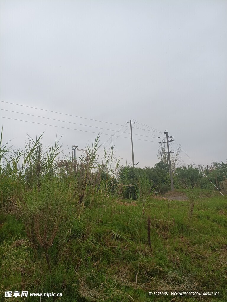 田野中的電線桿與植被