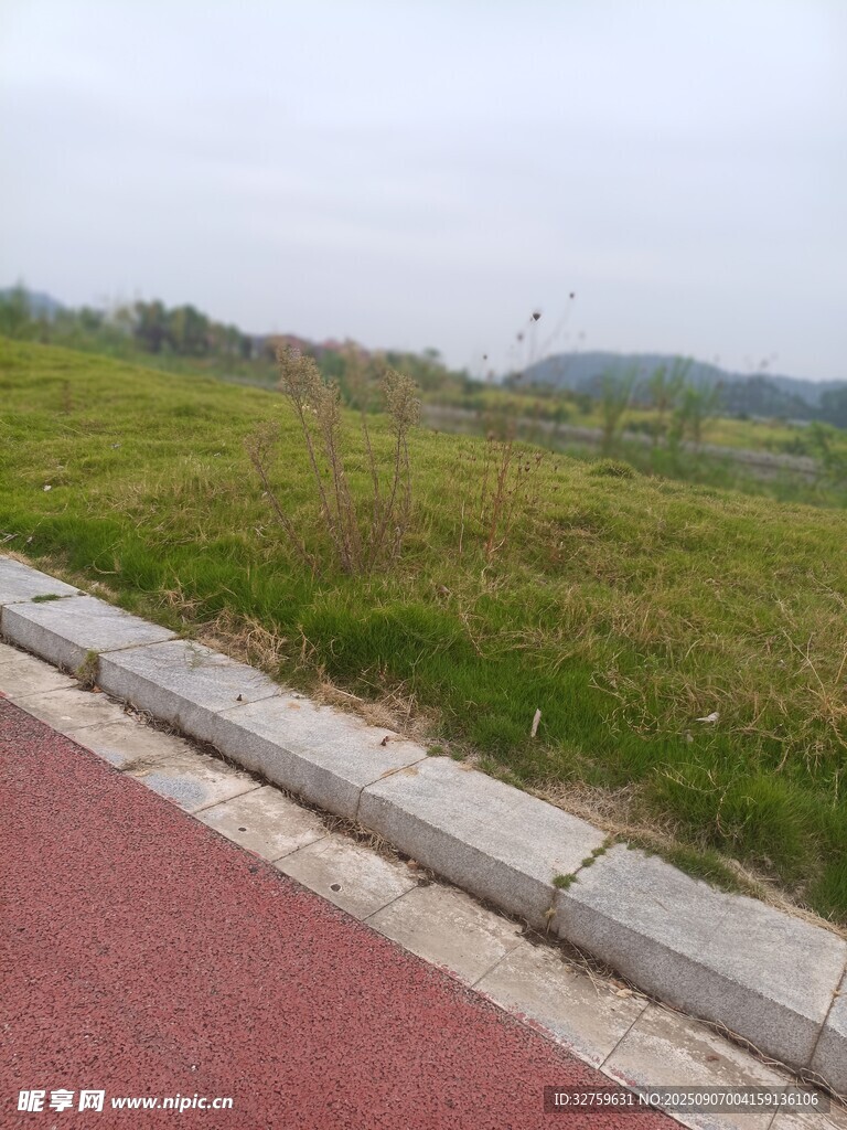 戶外紅色步道旁的綠地