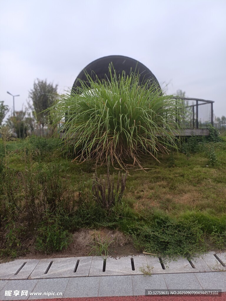 戶外圓形建筑旁的綠植景觀