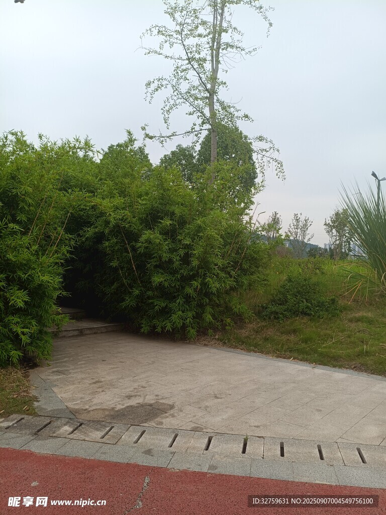 戶外綠植環(huán)繞的小徑