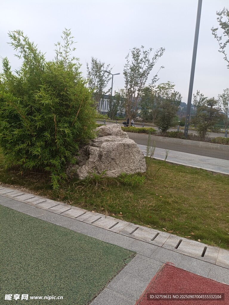 路邊綠植與巨石景觀