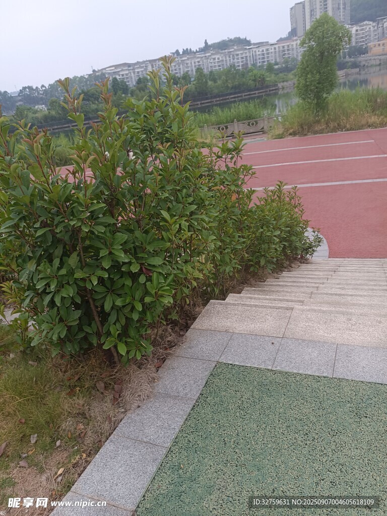校園操場邊的綠植景觀