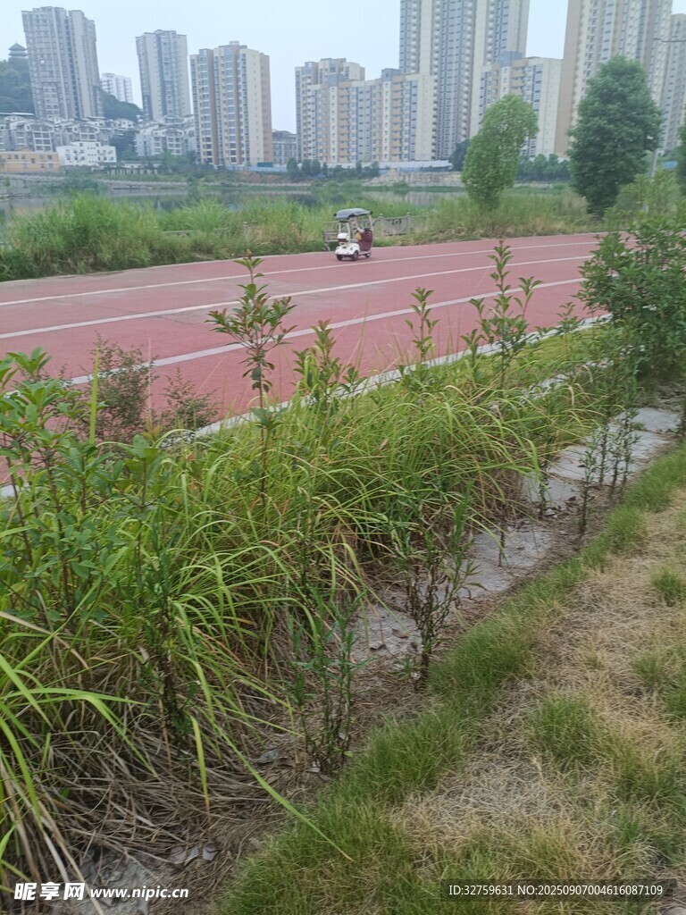 城市邊的綠植與紅色跑道