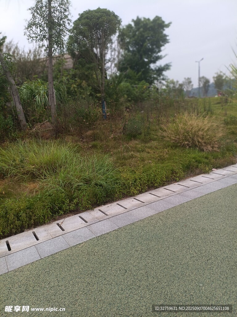 路邊綠意盎然的自然景致