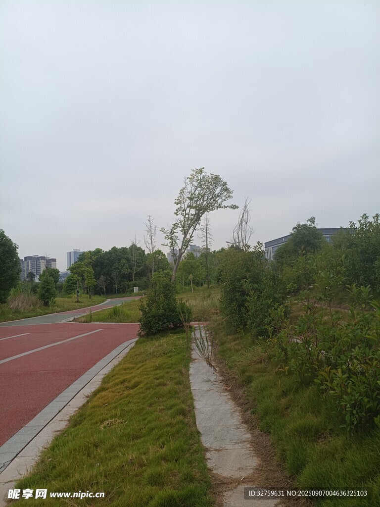 戶外林蔭步道風(fēng)景