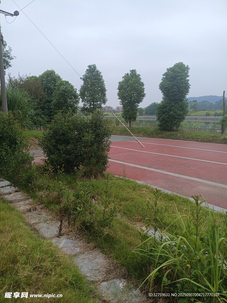 校園跑道旁的綠植景觀