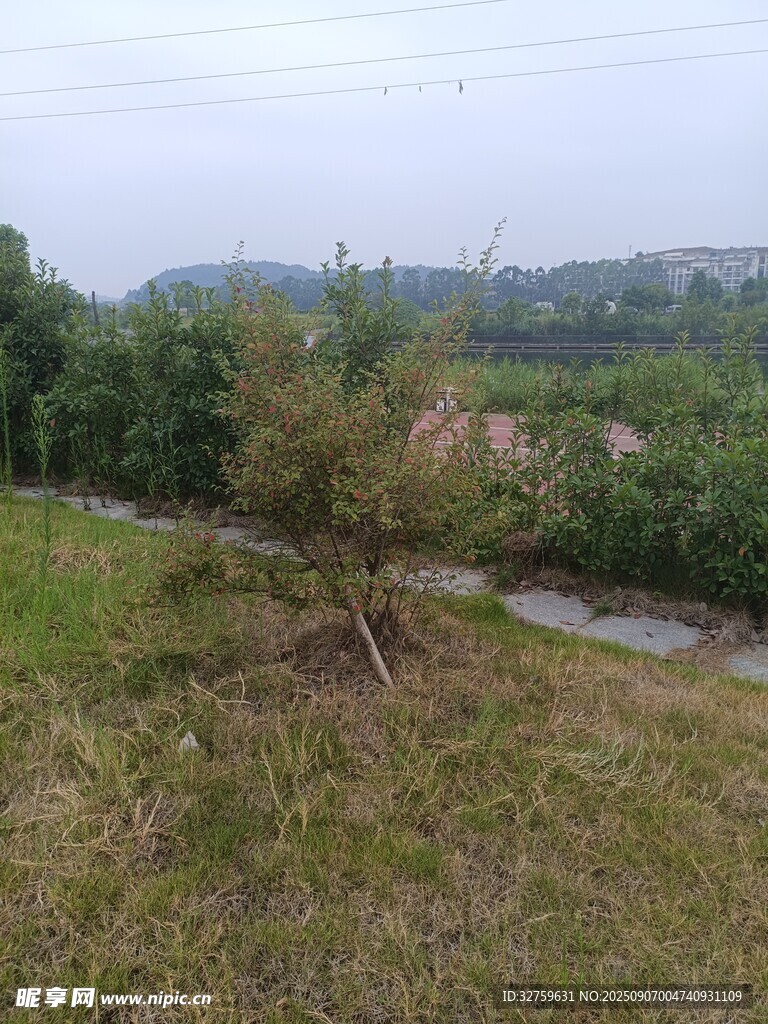 鄉(xiāng)村野外小河邊的自然景致