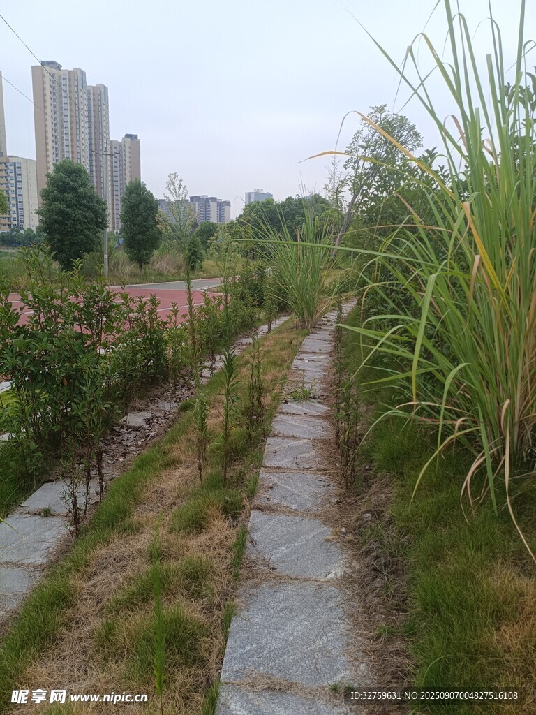 城市邊的自然小徑景觀