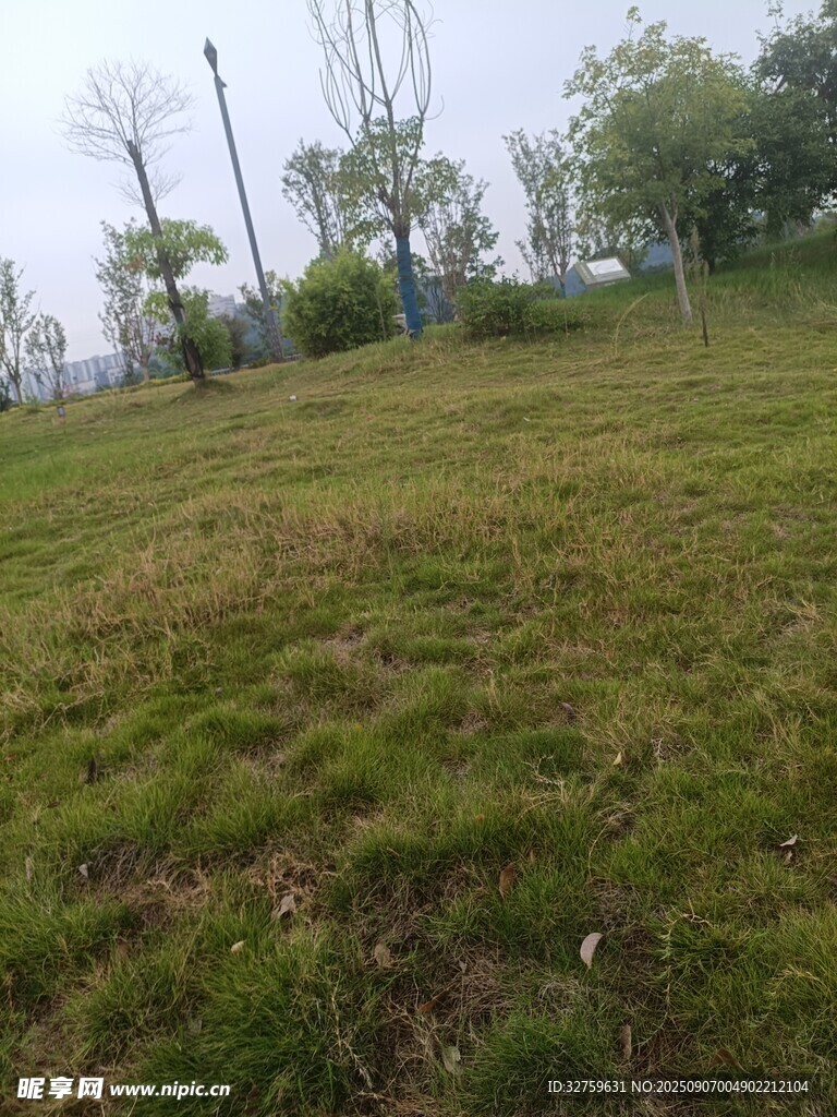 戶外綠意盎然的開(kāi)闊草地