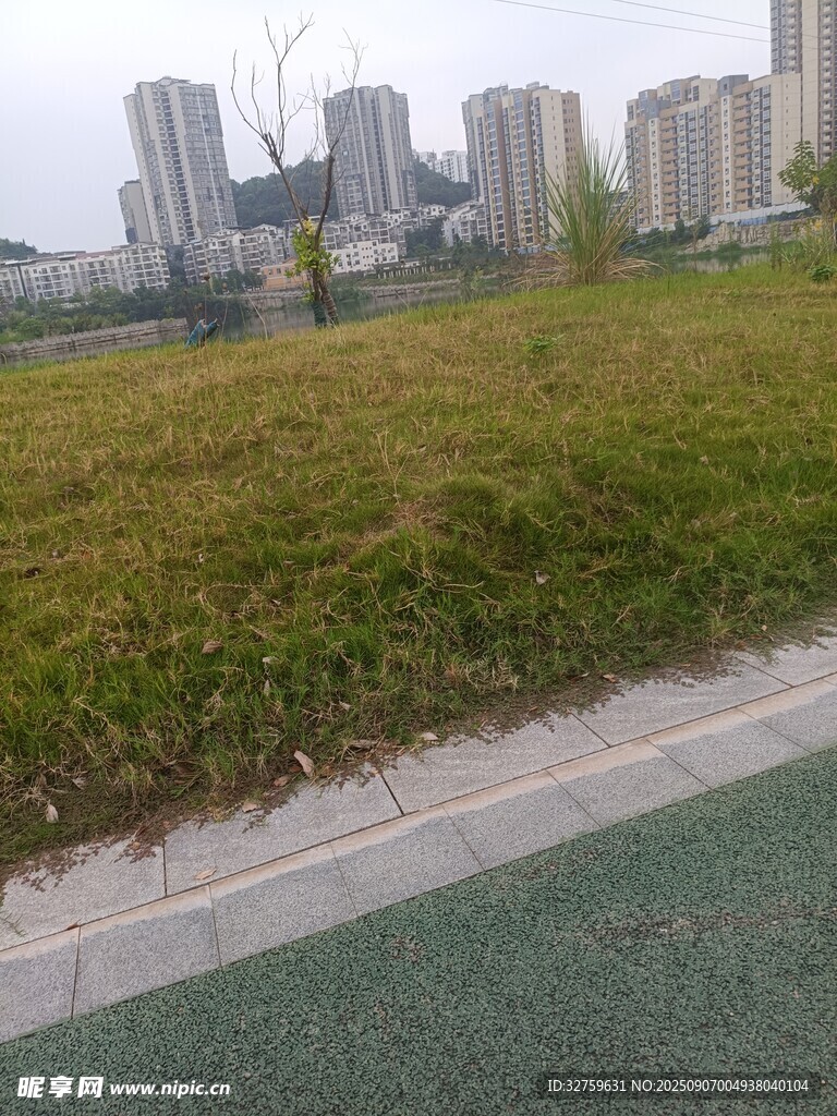 城市邊的綠地與遠(yuǎn)處高樓