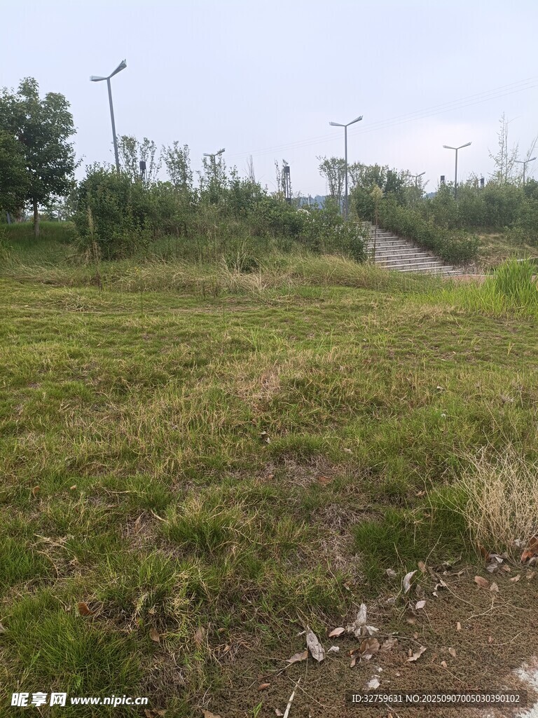 郊外草地與遠(yuǎn)處風(fēng)車(chē)景觀