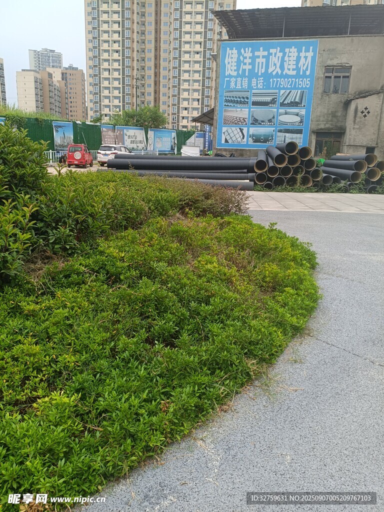 城市路邊綠植與現(xiàn)代建筑