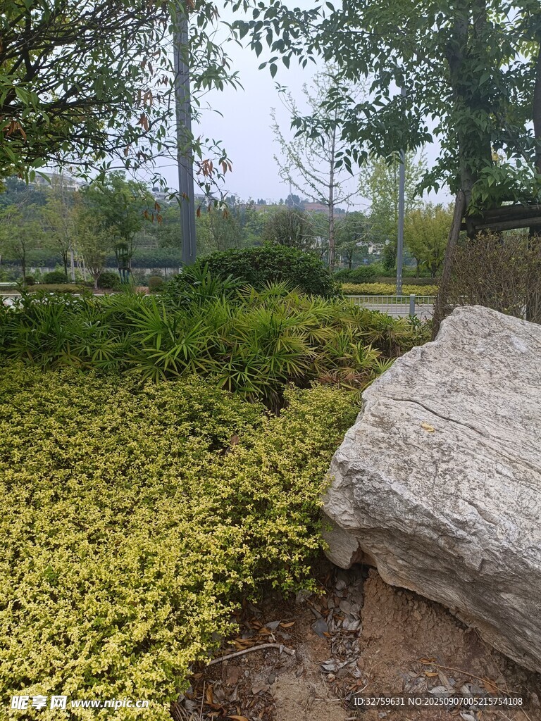 園林景觀中的綠植與巨石