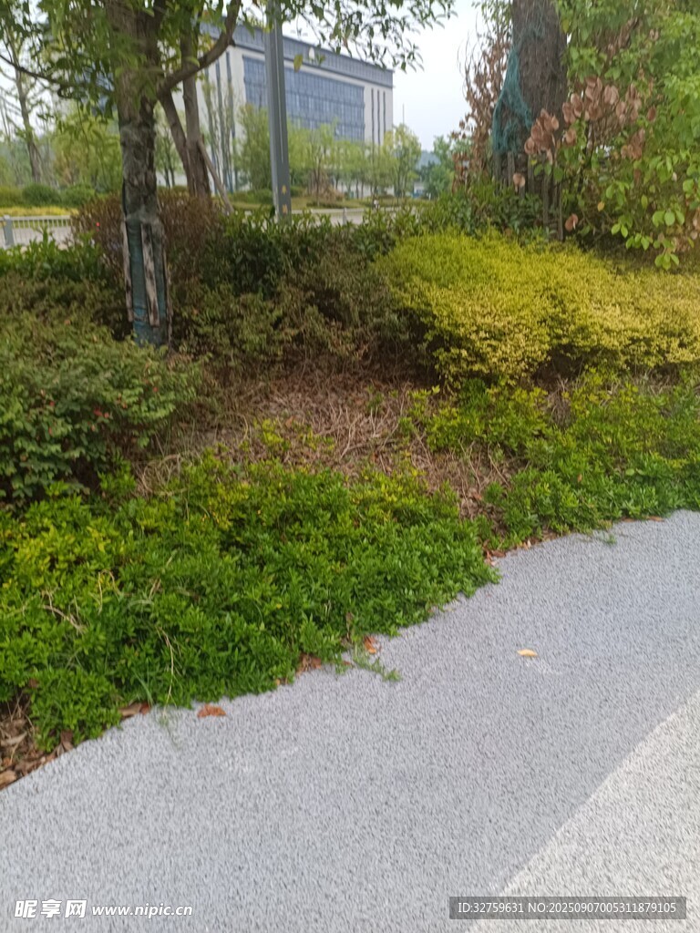 城市路邊綠意盎然的景致
