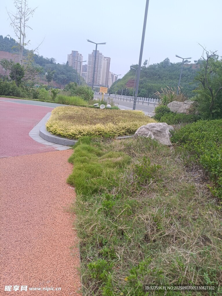 城市中的彩色步道與綠植