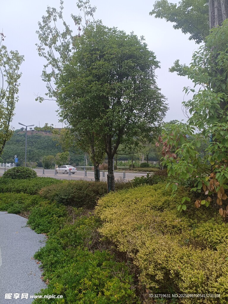 河畔綠植景觀