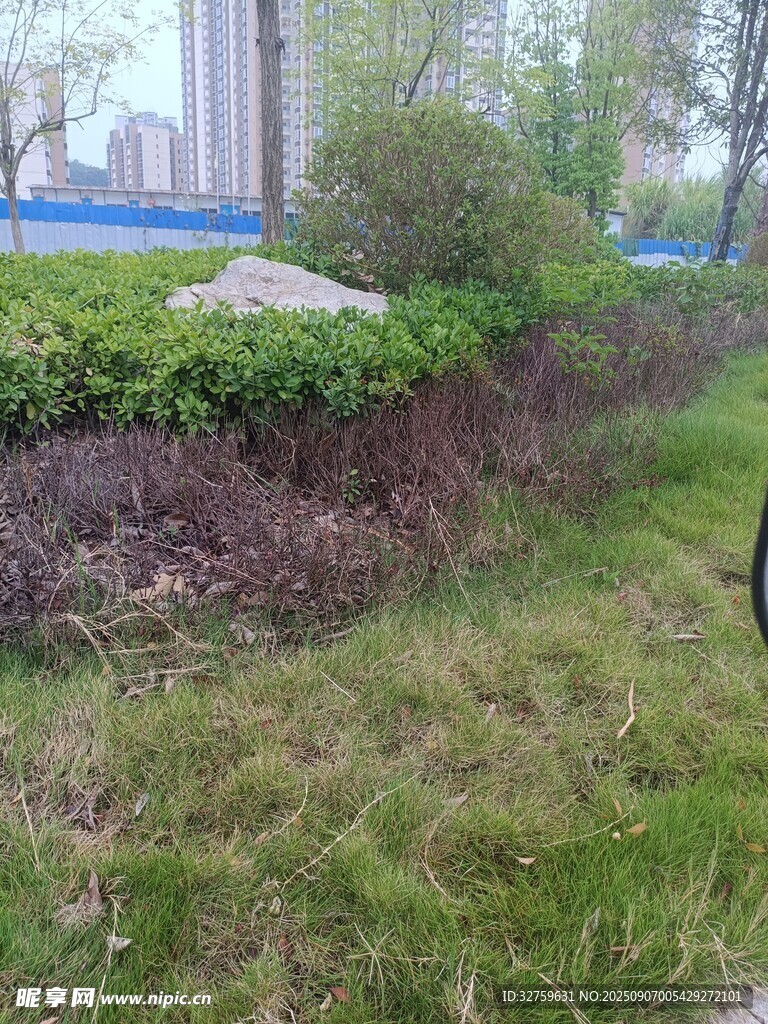 路邊綠植景觀