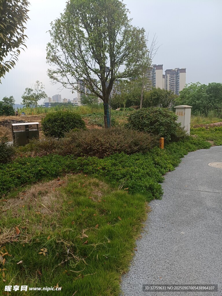 雨后鄉(xiāng)間小路風(fēng)景