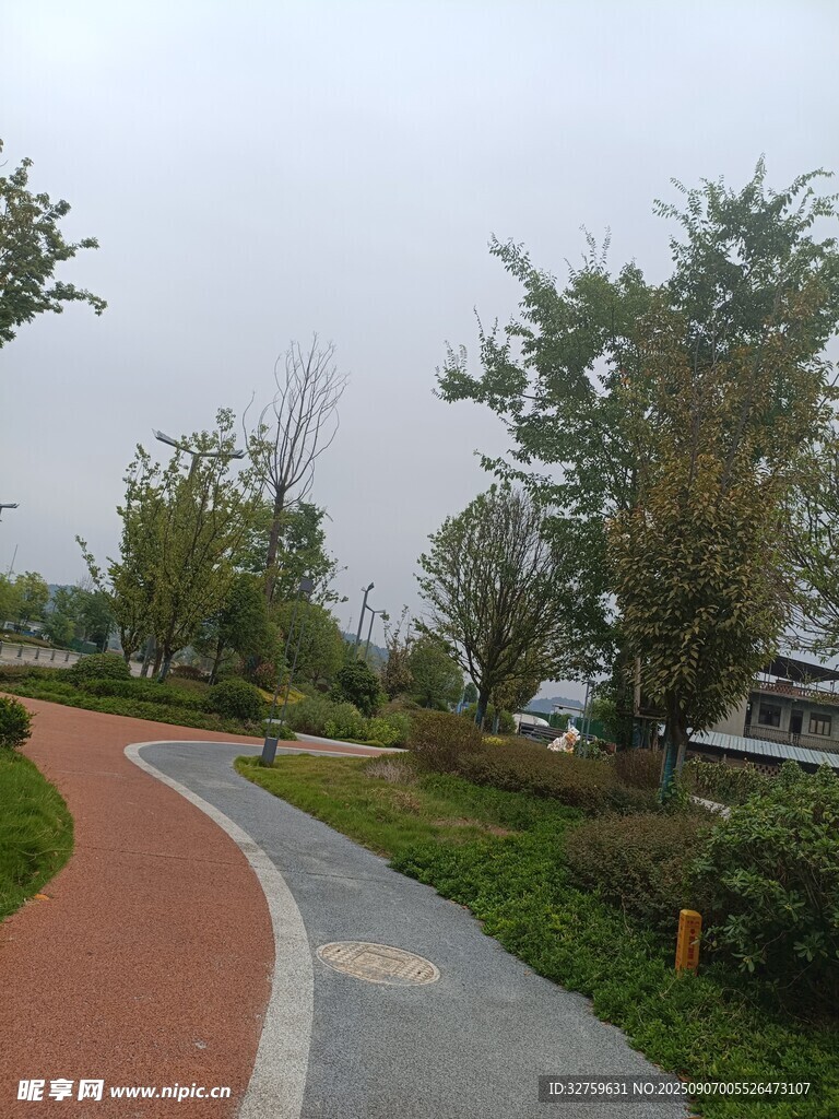 蜿蜒小徑旁的綠樹景觀