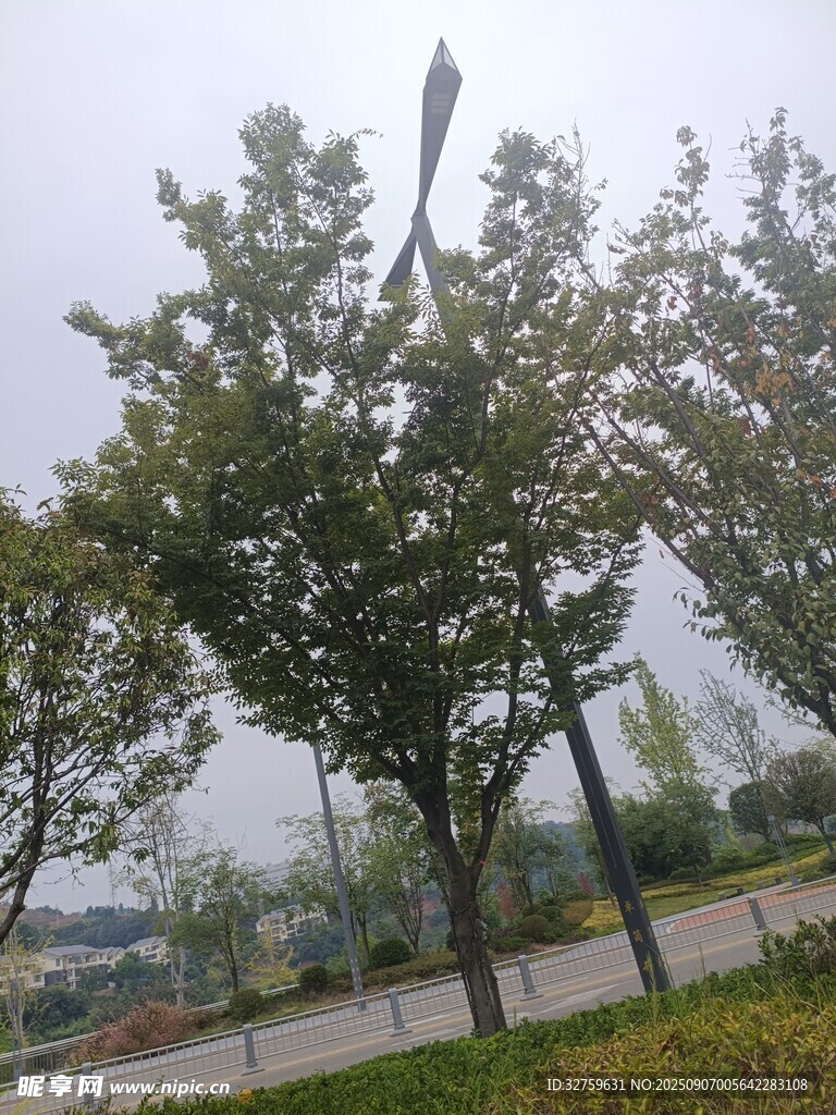 路邊綠樹