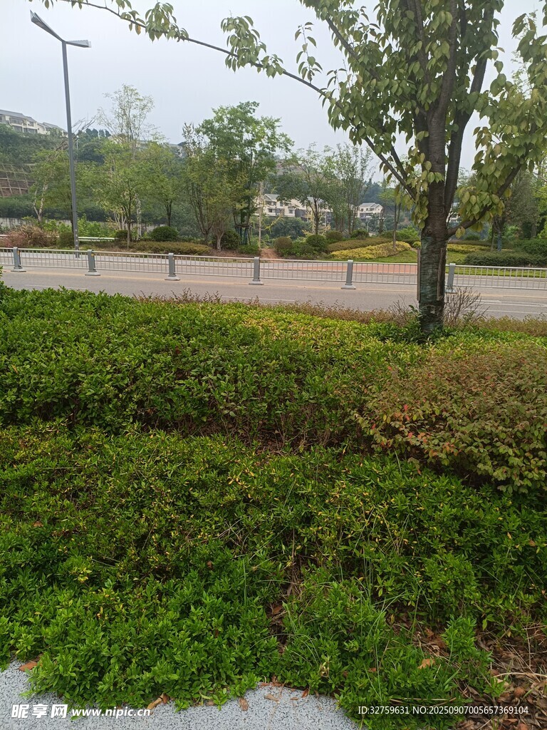 城市綠化帶景觀