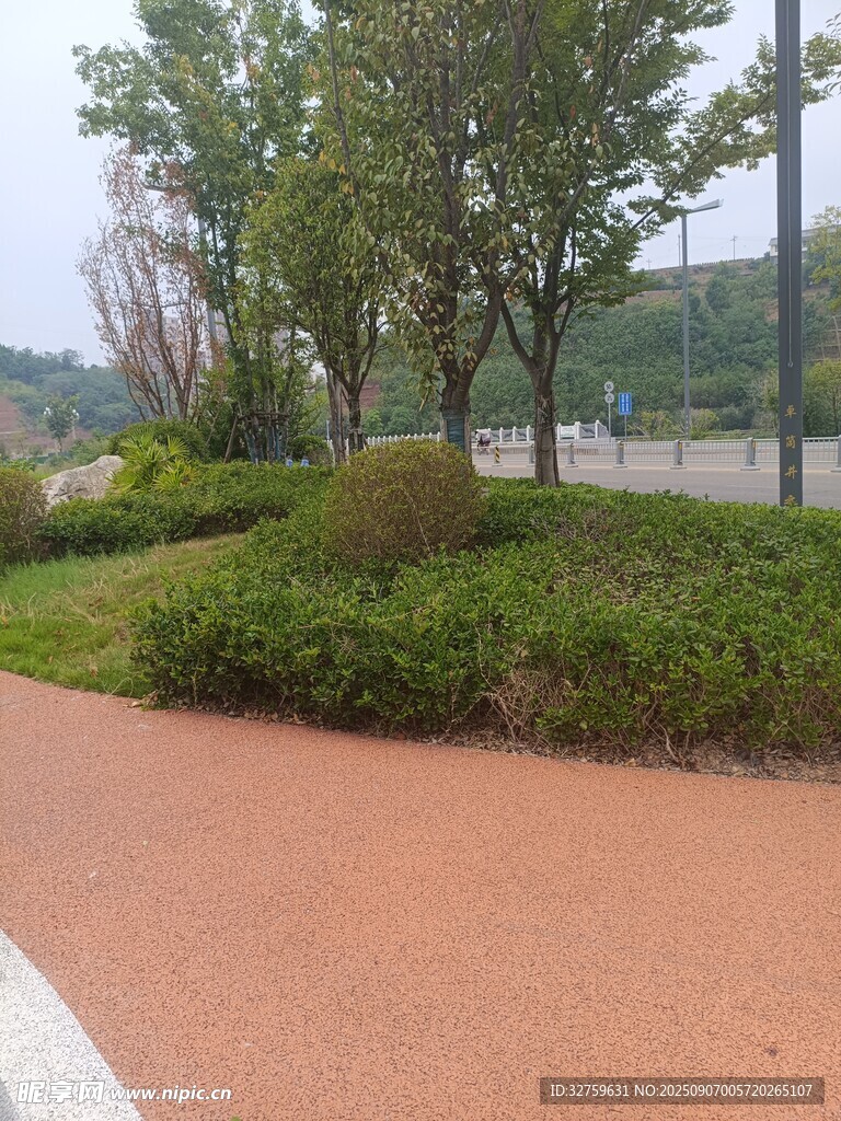 公園中色彩鮮明的步道景觀