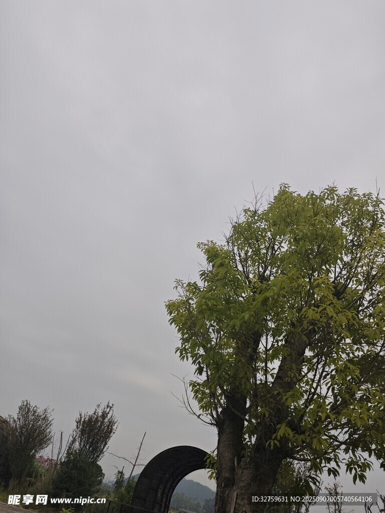 孤樹(shù)旁的拱形建筑
