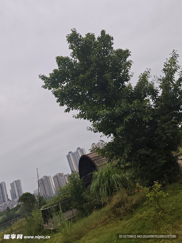 郊外綠樹與遠(yuǎn)處建筑景觀