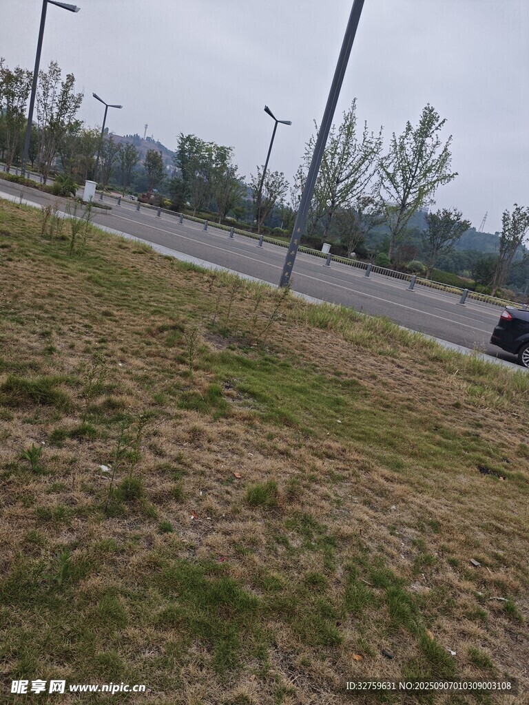 戶外草地與道路場景