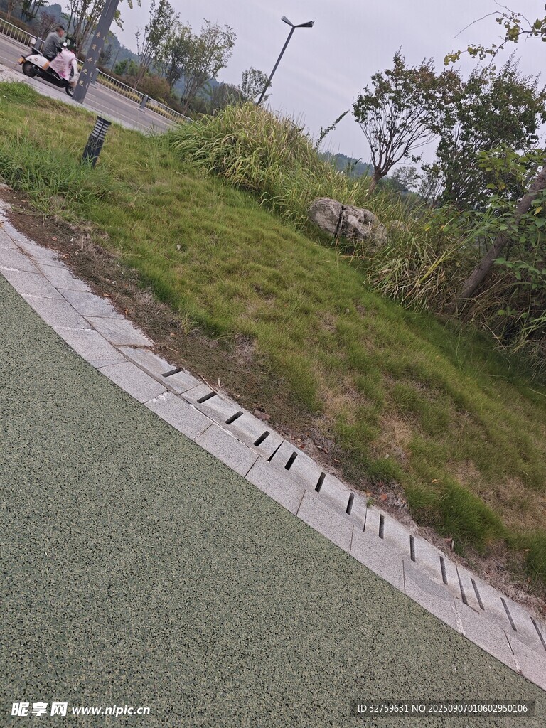 城市路邊的綠化景觀