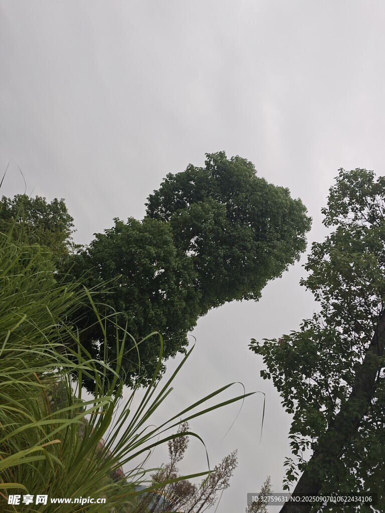 綠樹(shù)成蔭的自然景致
