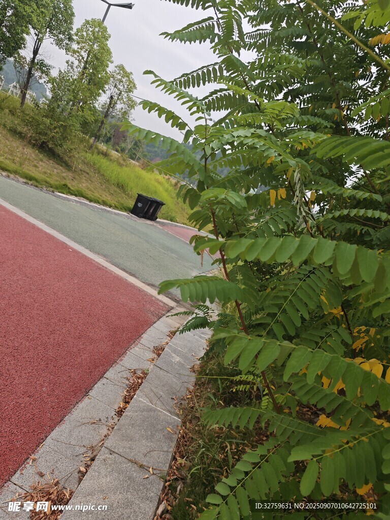 戶外紅跑道旁的綠植景觀