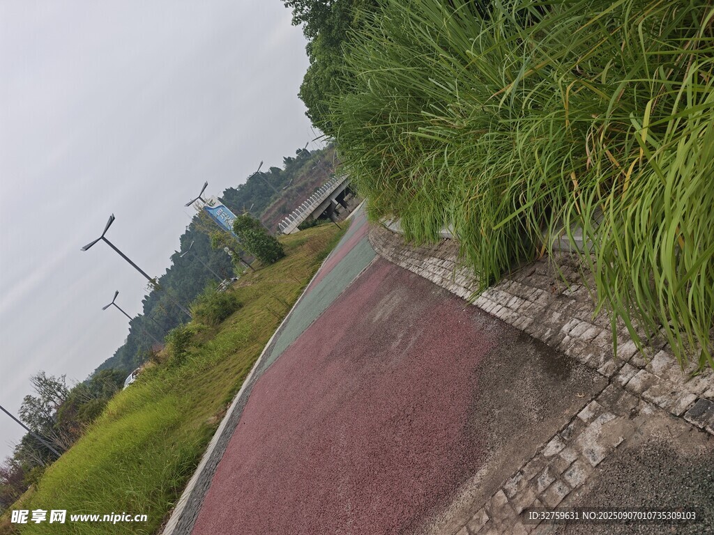 戶外彩色步道旁綠植景觀