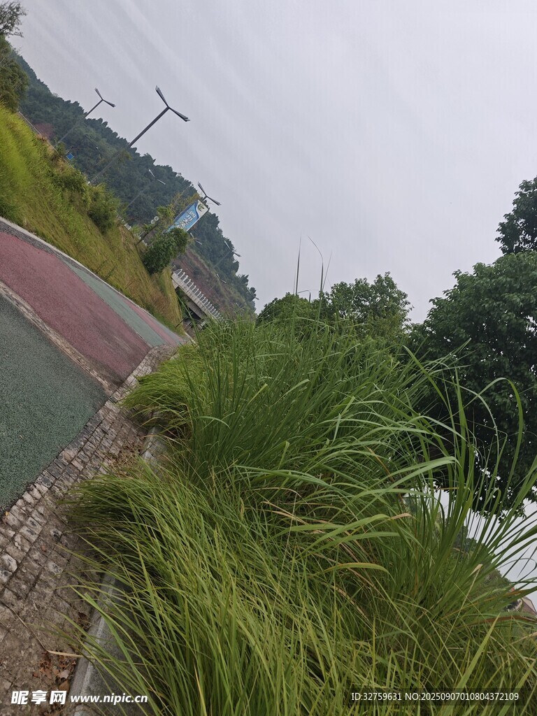 戶外草地旁的彩色道路
