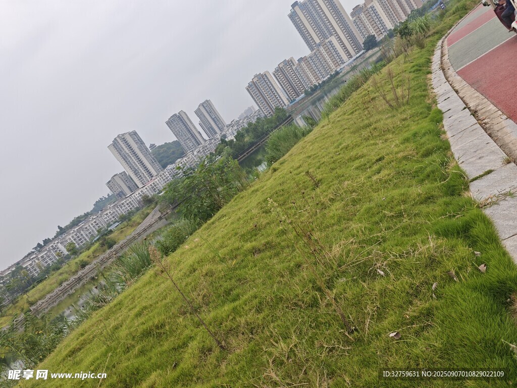 城市邊的翠綠草地景觀